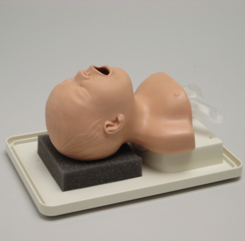 Neonatal-intubationstræner.JPG